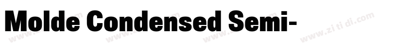 Molde Condensed Semi字体转换